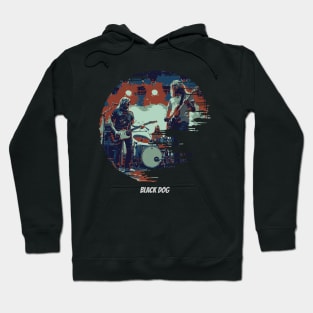 zeppelin concert Hoodie